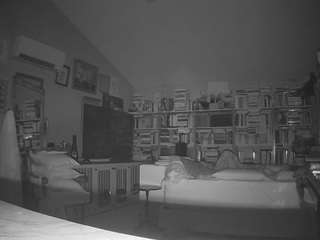 voyeurcam bridgetleewalters 02